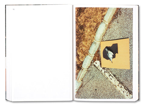 PLEASE SEND TO REAL LIFE: Ray Johnson Photographs - MACK