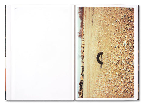 PLEASE SEND TO REAL LIFE: Ray Johnson Photographs - MACK