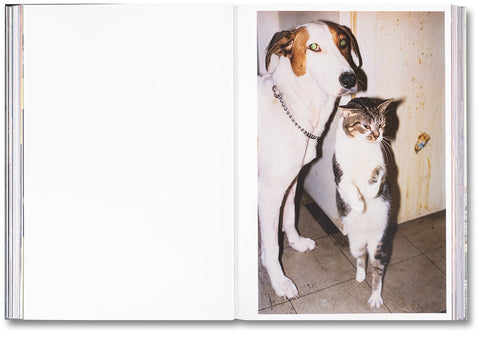 Ray's a Laugh - MACK