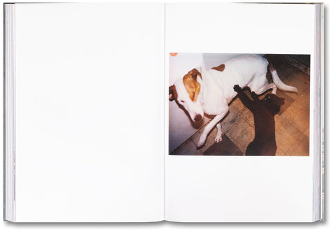 Ray's a Laugh - MACK