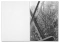 The things of the world are true / Somersault Special Edition - MACK