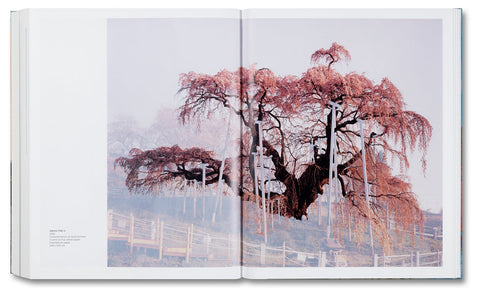 Base Matter and Uncommon Solvent: Drawings, Prints, Collages, and Objects 1988–2024 - MACK