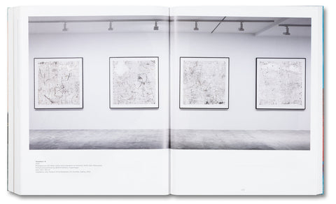 Base Matter and Uncommon Solvent: Drawings, Prints, Collages, and Objects 1988–2024 - MACK