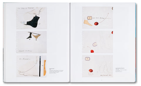 Base Matter and Uncommon Solvent: Drawings, Prints, Collages, and Objects 1988–2024 - MACK