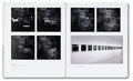 Base Matter and Uncommon Solvent: Drawings, Prints, Collages, and Objects 1988–2024 - MACK