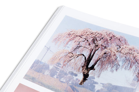 Base Matter and Uncommon Solvent: Drawings, Prints, Collages, and Objects 1988–2024 - MACK