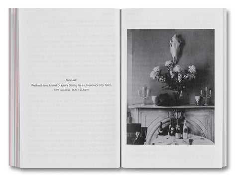 The Devouring Eye: Photography and the Mouth