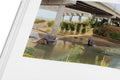 Close-up of "The Mental Image" photography book by MACK, showing detailed cover design and textured surface.
