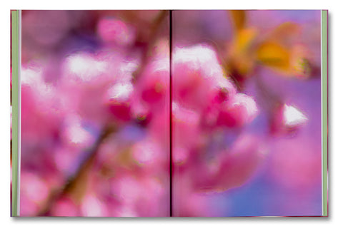 Verdigris / Ambergris - MACK