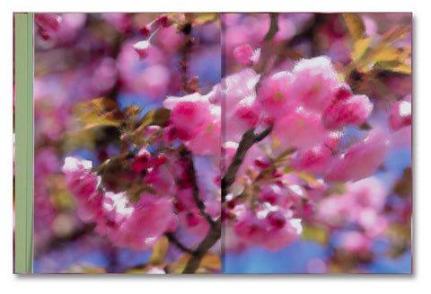 Verdigris / Ambergris - MACK