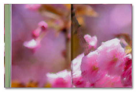 Verdigris / Ambergris - MACK