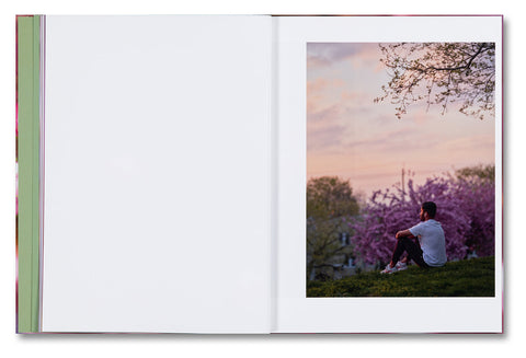 Verdigris / Ambergris - MACK