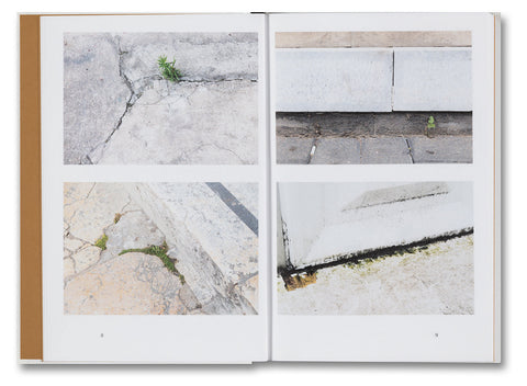 Weeds: A Germinating Theory