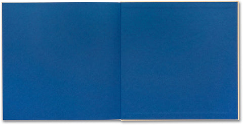 The Adventures of Guille and Belinda and The Illusion of an Everlasting Summer - MACK